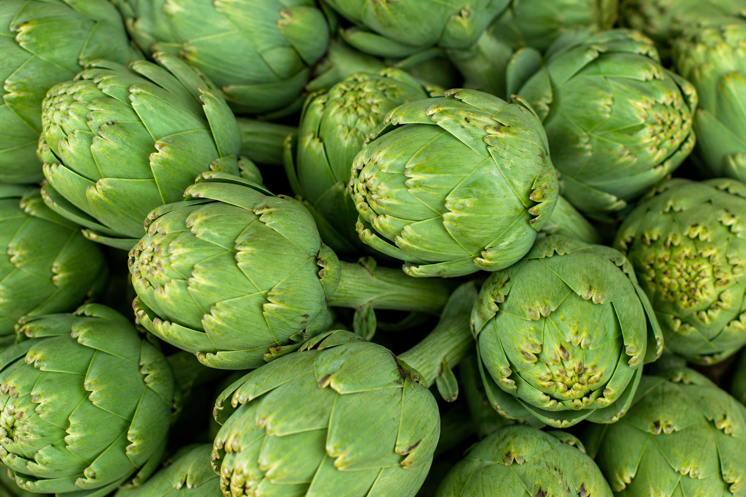 Artichoke